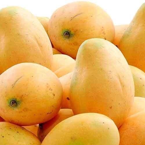 Banganapalli Mango Image