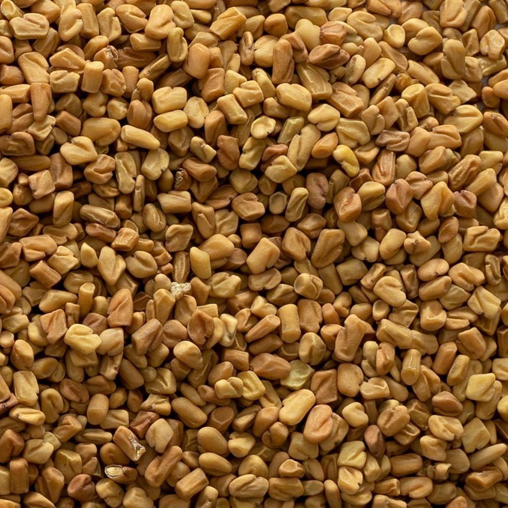 FENUGREEK Image
