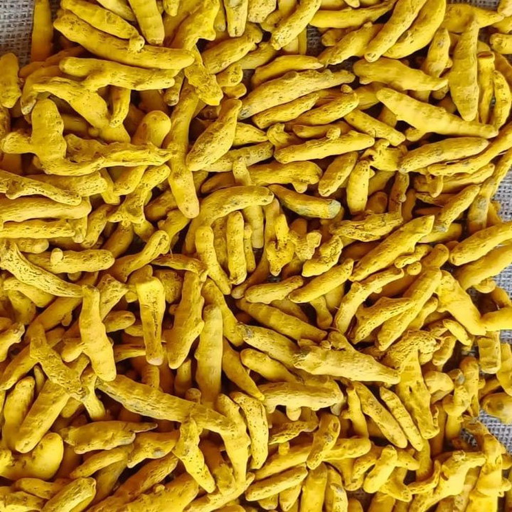 Turmeric Finger Image