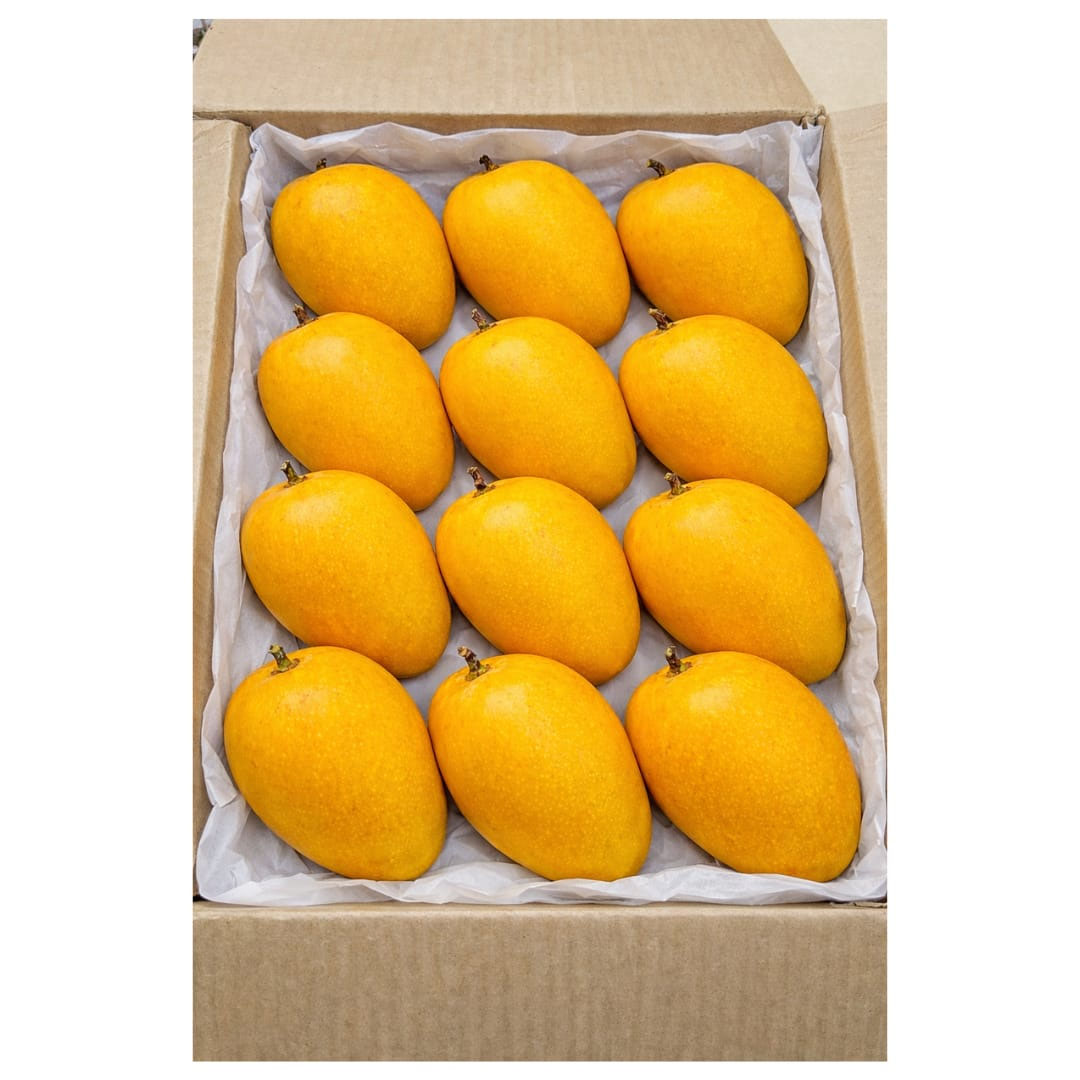 Alphonso Mango - Additional View