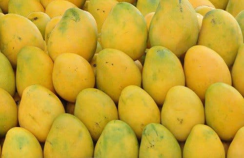 Banganapalli Mango - Additional View